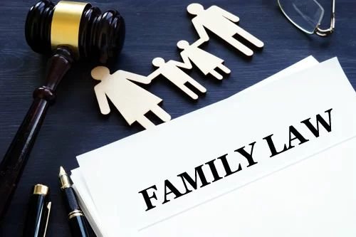 Best Family Lawyer in Delhi